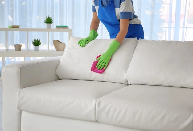 Sofa Cleaning